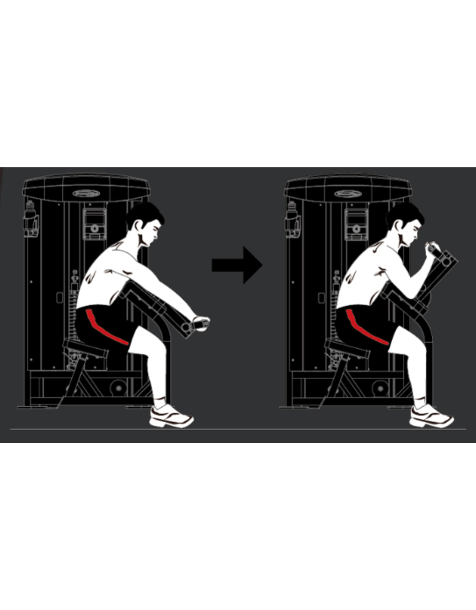 Steelflex Steelflex Mega Power Bicep Curl Machine MBC-600/2