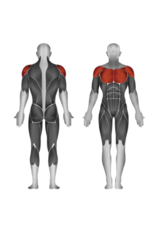 Steelflex Steelflex Mega Power Pec Dec Machine MPD-700/2