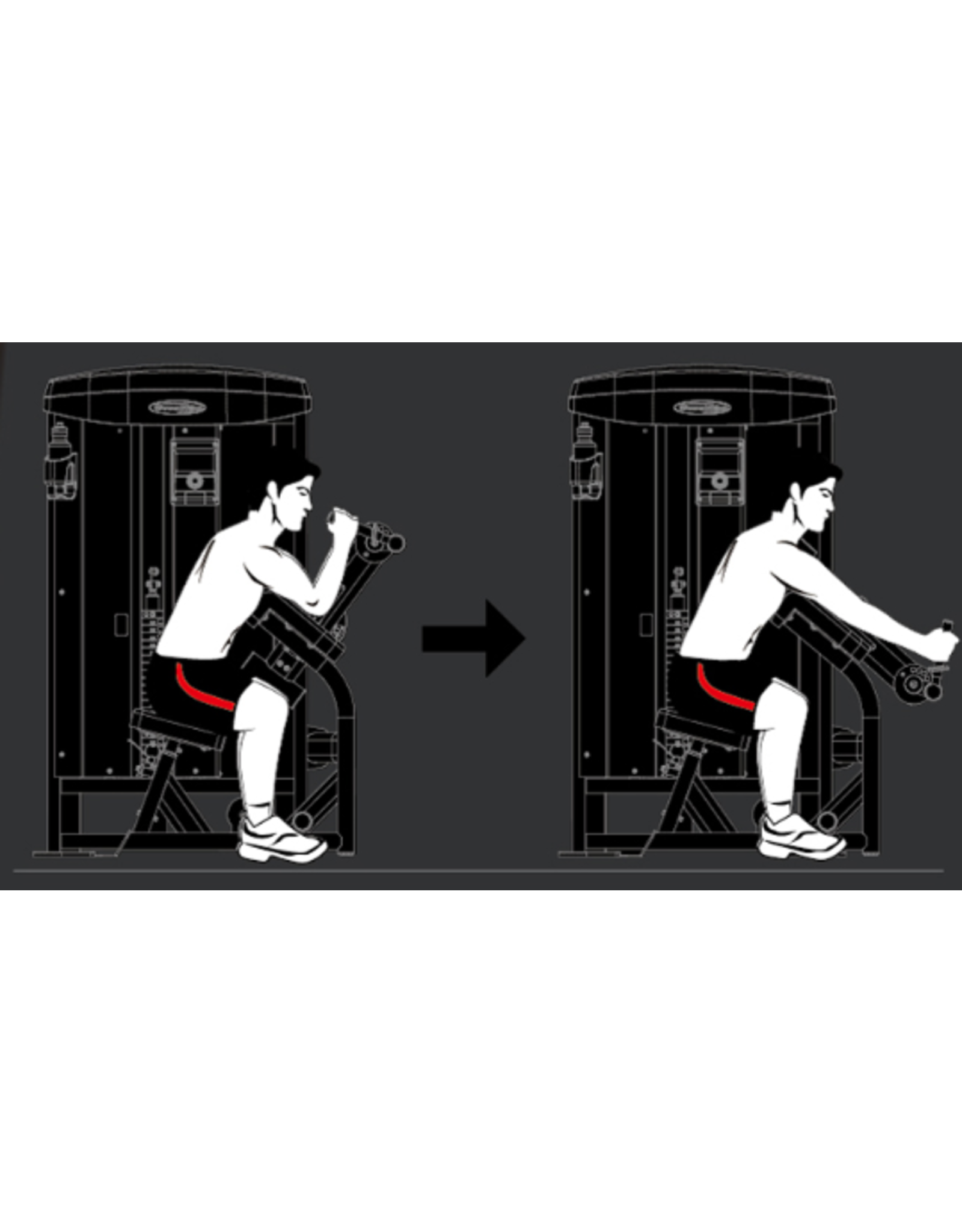 Steelflex Steelflex Mega Power Triceps Extension machine MTE-1200