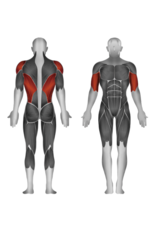 Steelflex Steelflex Mega Power Seated Row Machine MRM-1700/2