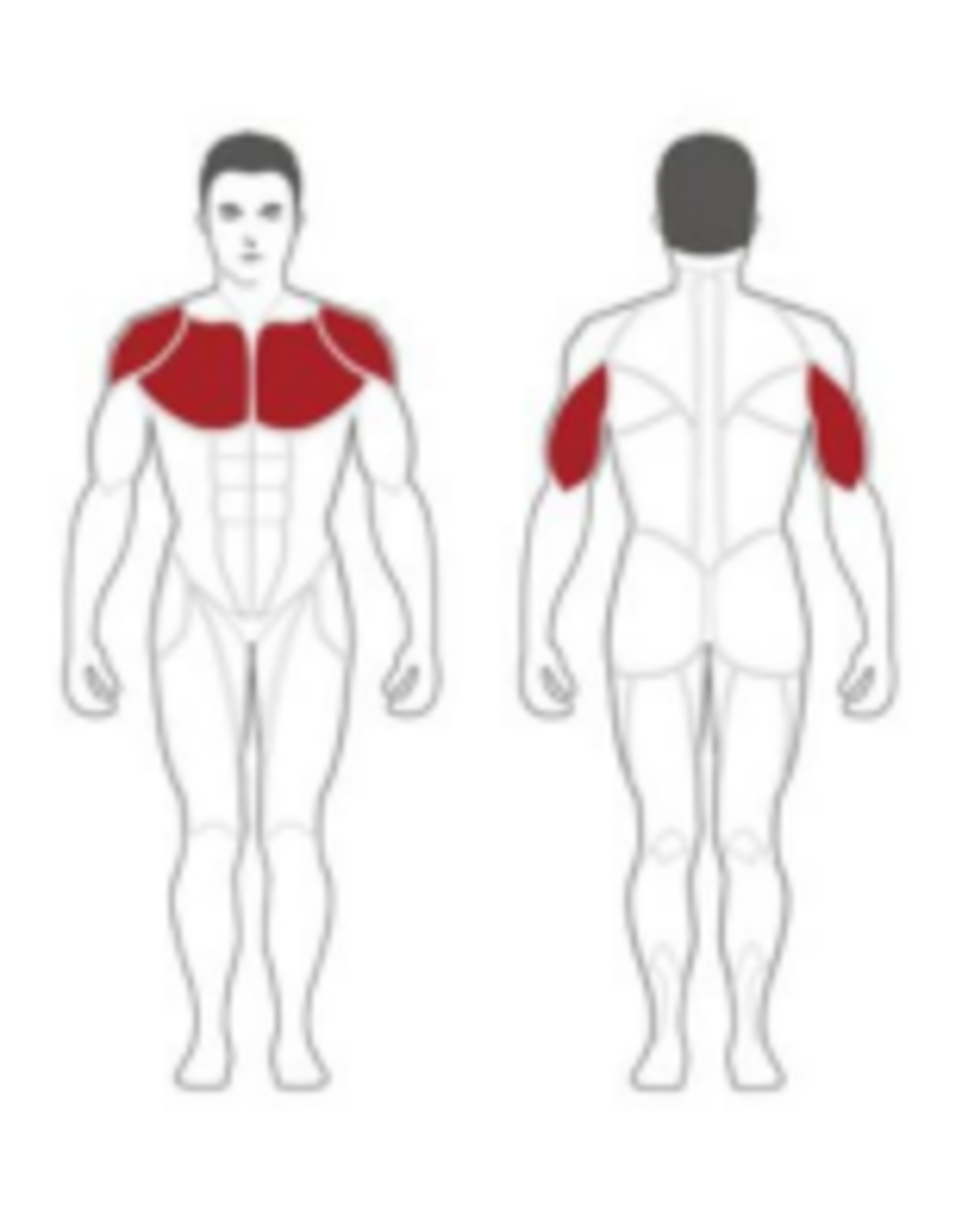 Steelflex Steelflex PlateLoad INCLINE PRESS Machine PLIP