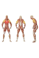 Steelflex Steelflex PlateLoad Seated Decline Press Machine PSDP