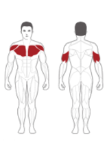 Steelflex Steelflex Hope Chest Press  95 kg weight HBP100