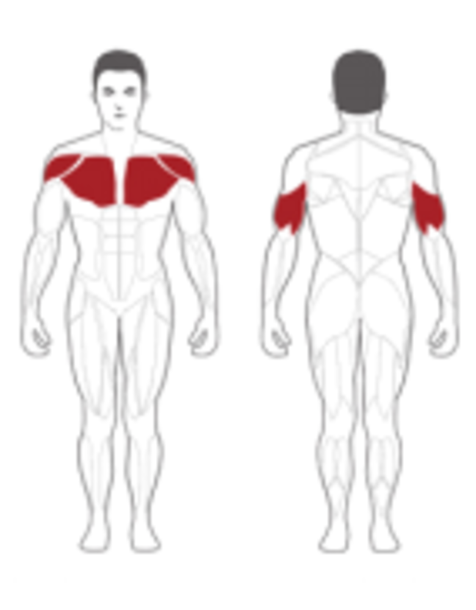 Steelflex Steelflex Hope Chest Press  95 kg weight HBP100