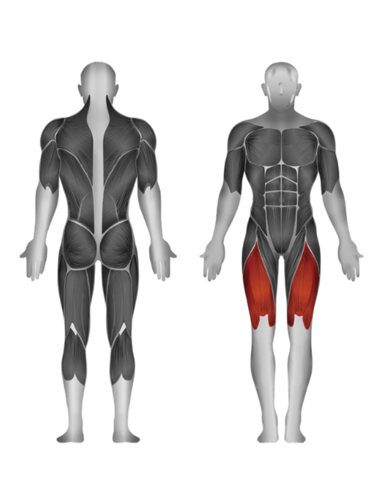 Steelflex Steelflex Hope Leg Extension 95 kg weight HLE200