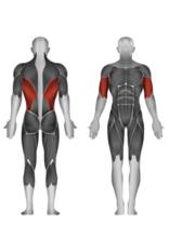 Steelflex Steelflex Hope Lat Pull Down HLM300A