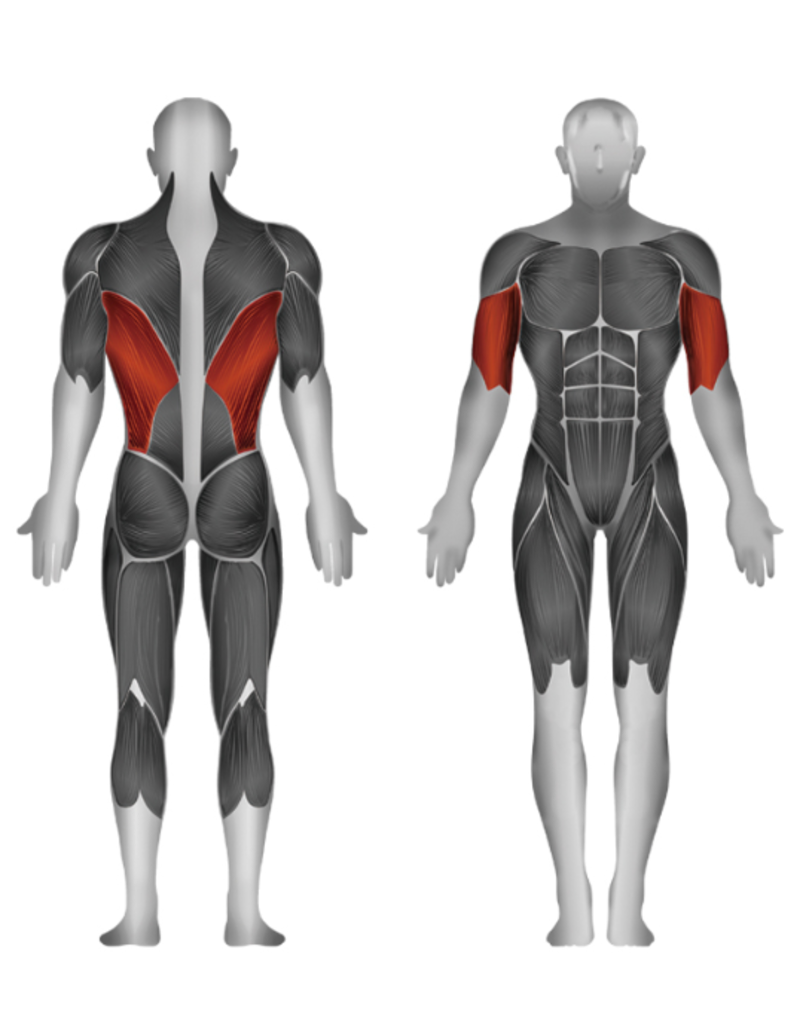 Steelflex Steelflex Hope Lat Pull Down HLM300A