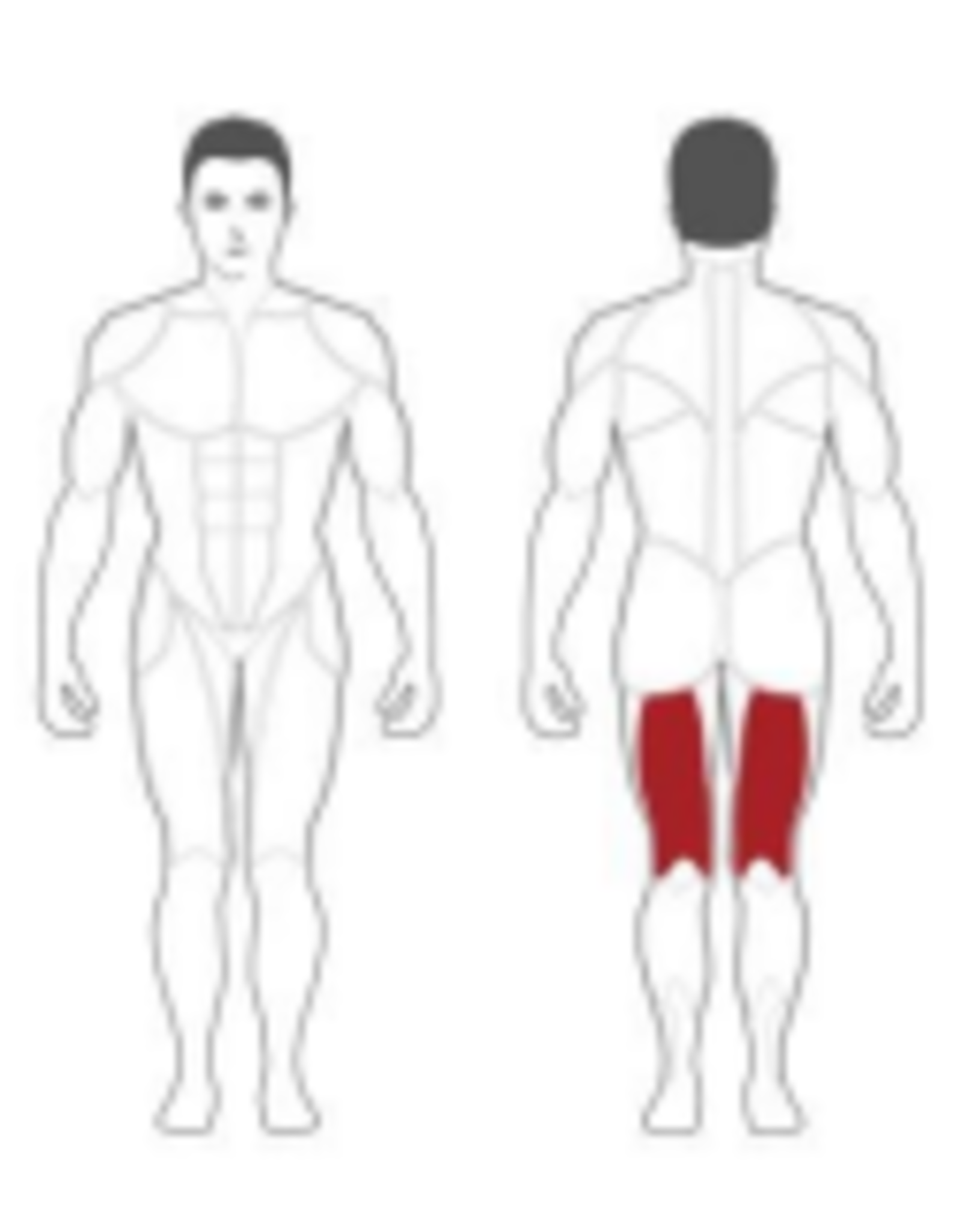 Steelflex Steelflex Hope Leg Curl HLC400A