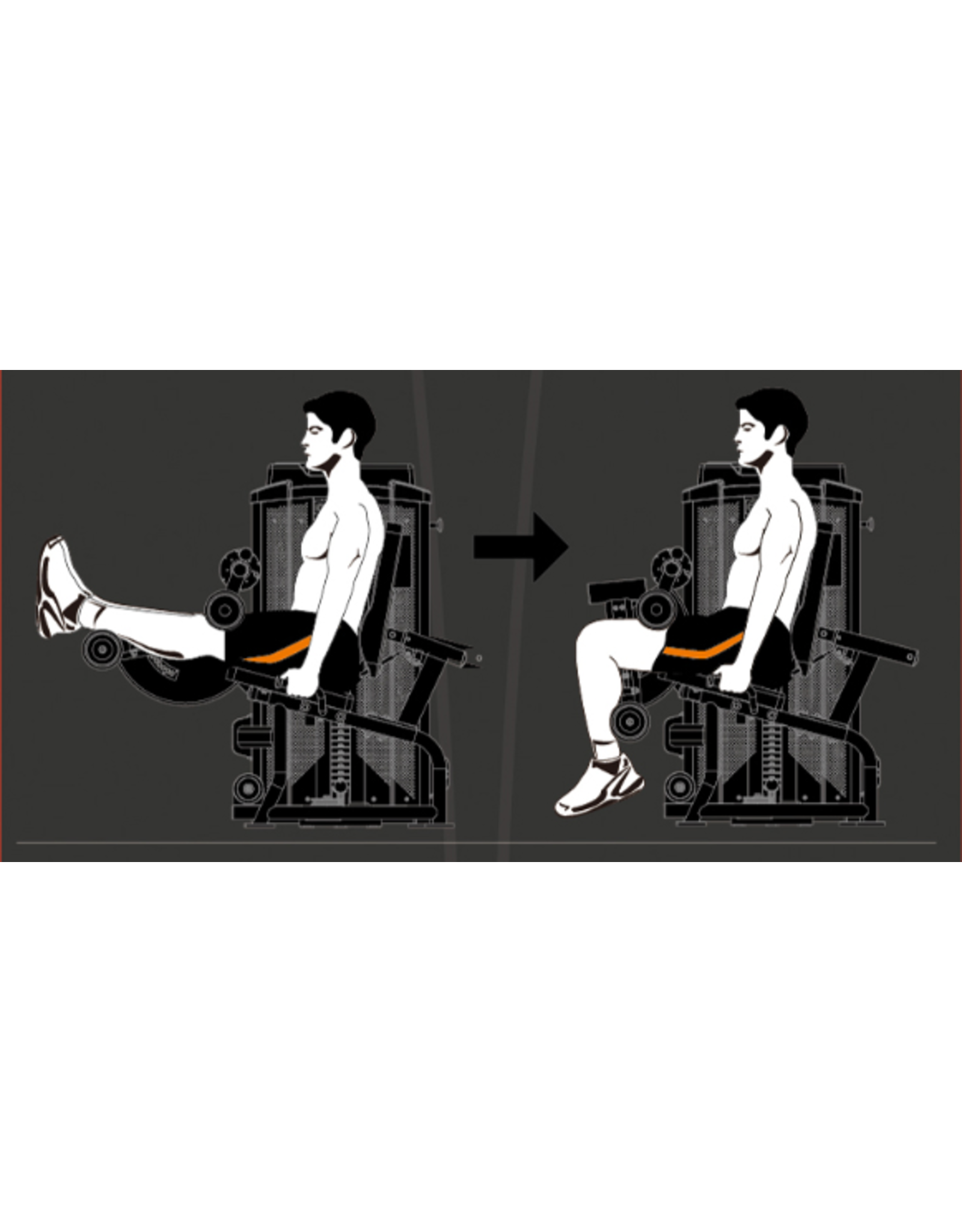 Steelflex Steelflex Hope Leg Curl HLC400A