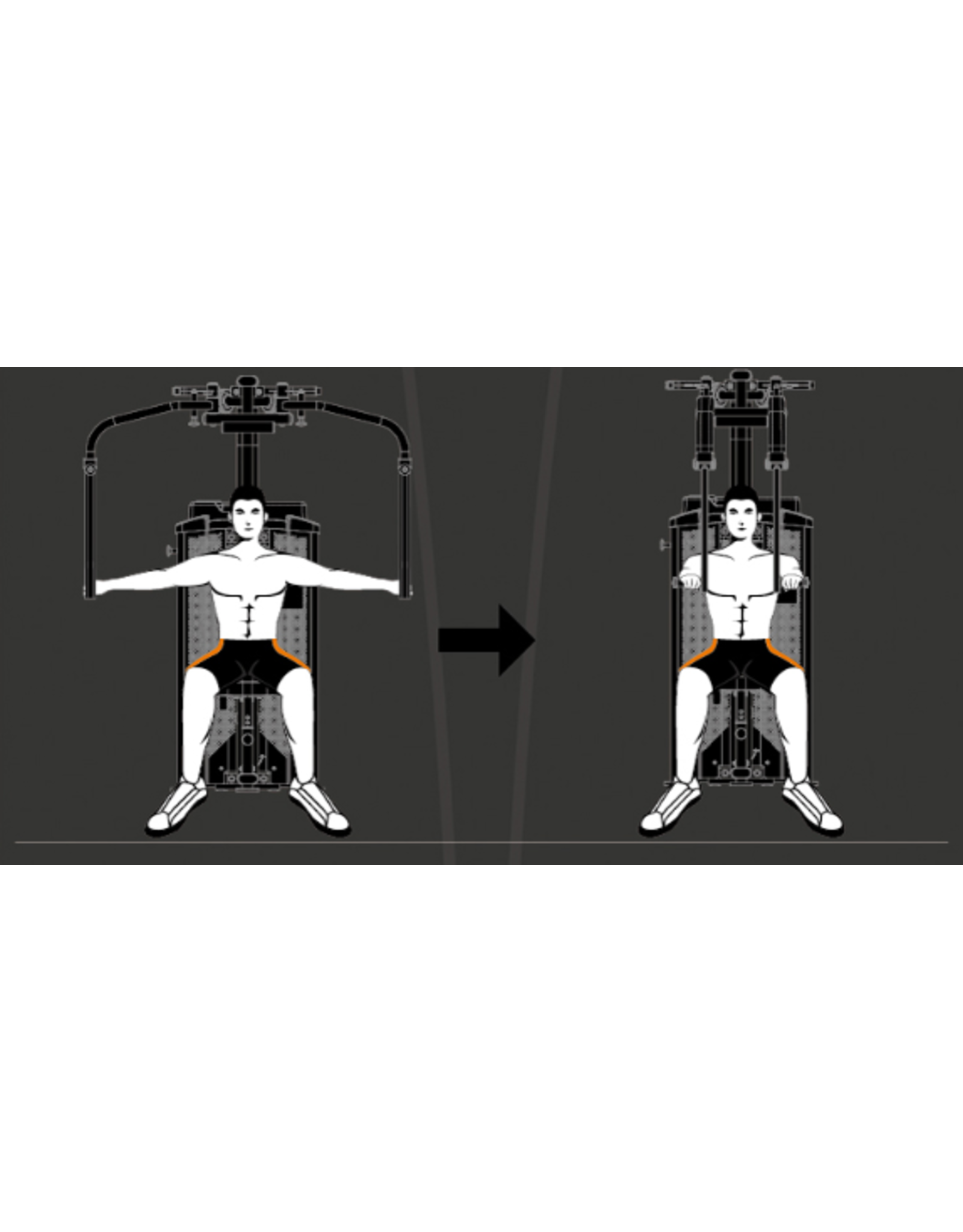 Steelflex Steelflex Hope Pec Fly HPD700