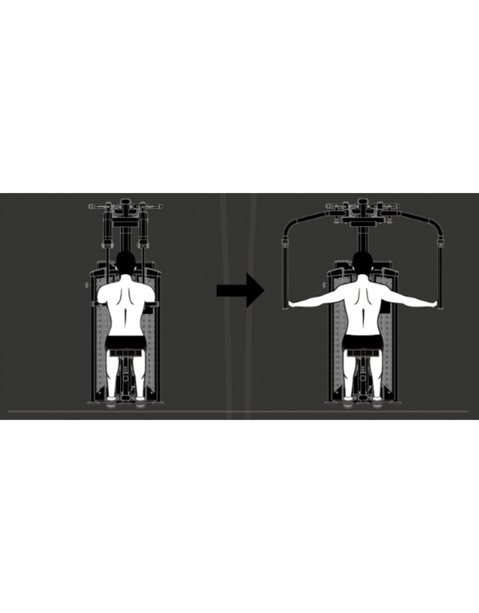 Steelflex Steelflex Hope Pec Fly HPD700