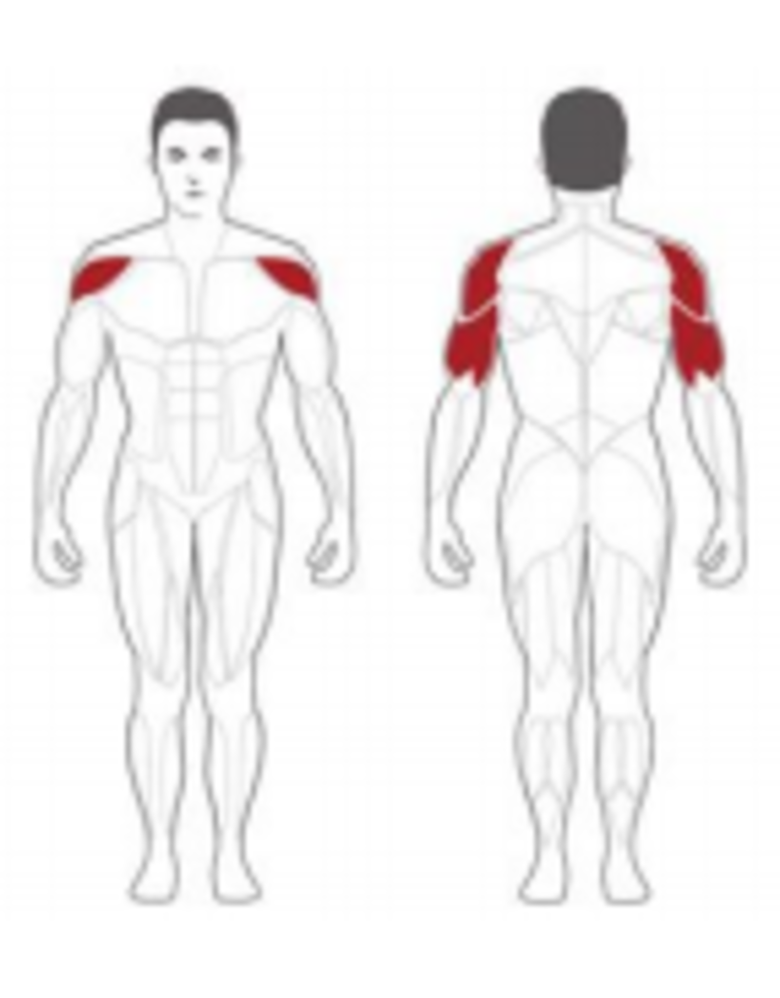 Steelflex Steelflex Hope Shoulder Press HSP800