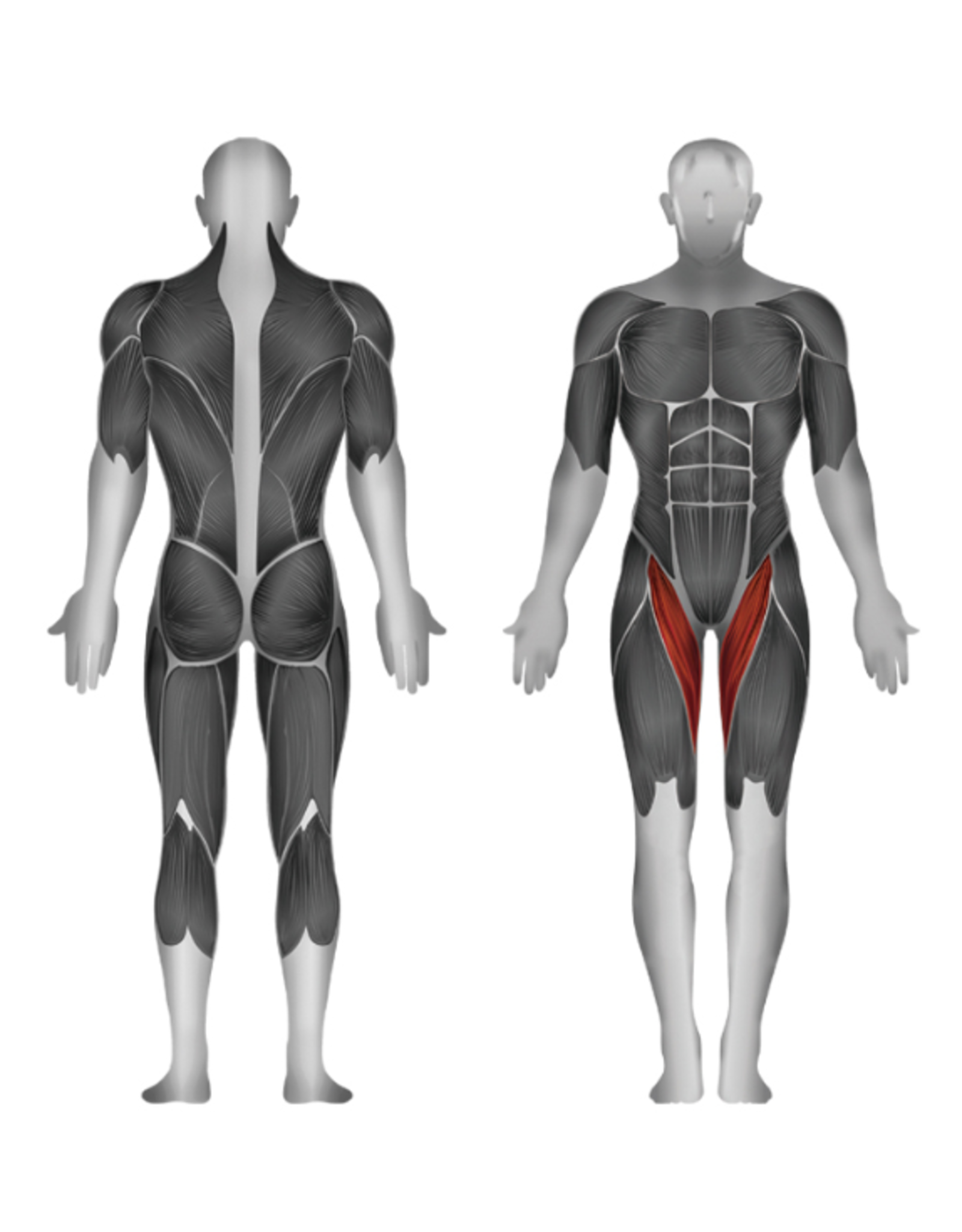 Steelflex Steelflex Hope Adducter HAD1100