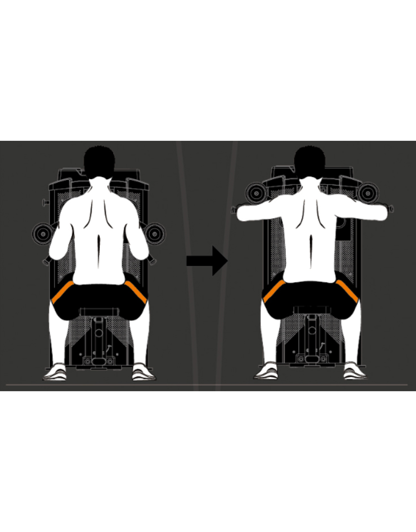 Steelflex Steelflex Hope Lateral Raise HDR1300