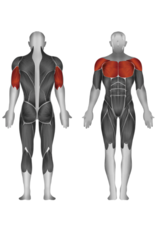 Steelflex Steelflex Hope Chest Incline HIP1400