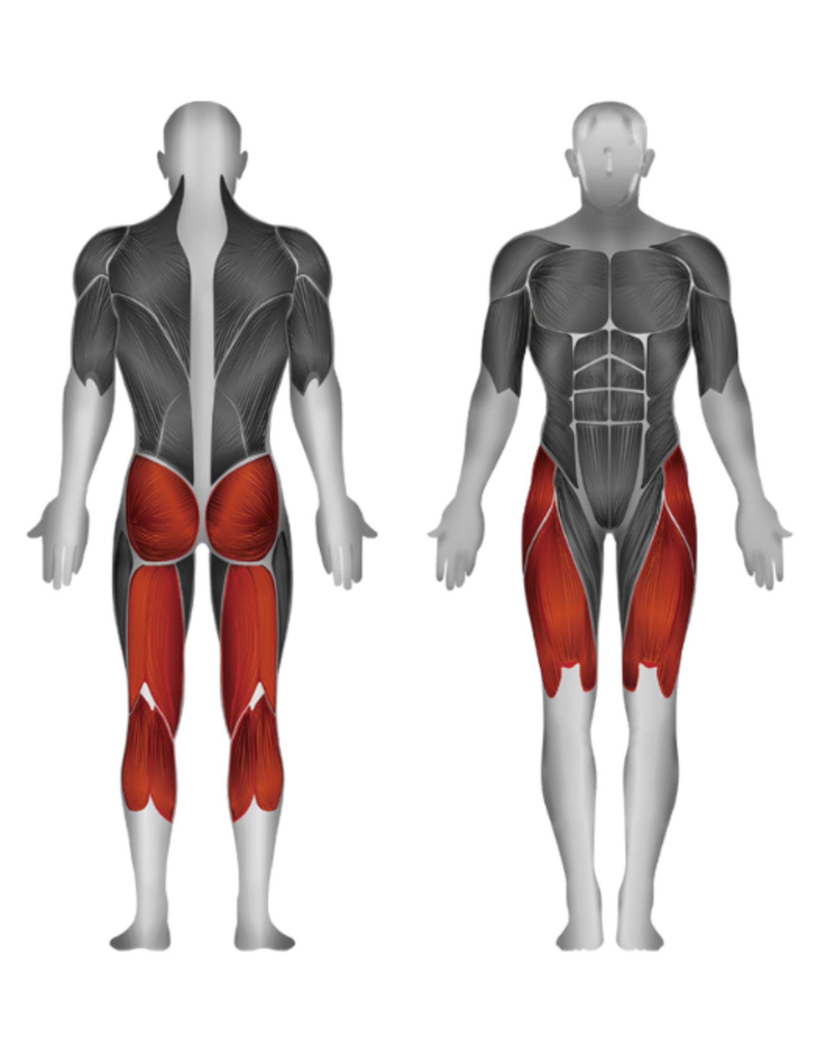 Steelflex Steelflex Hope Dual Cable Functional Trainer HDC2000