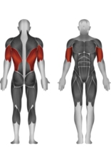 Steelflex Steelflex Hope Assisted Dip Chin HCD2100