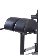 Toorx Fitness TOORX Cross Training GHD Bench WBX-300