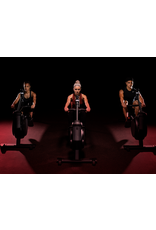 Life Fitness Life Fitness heat performance row