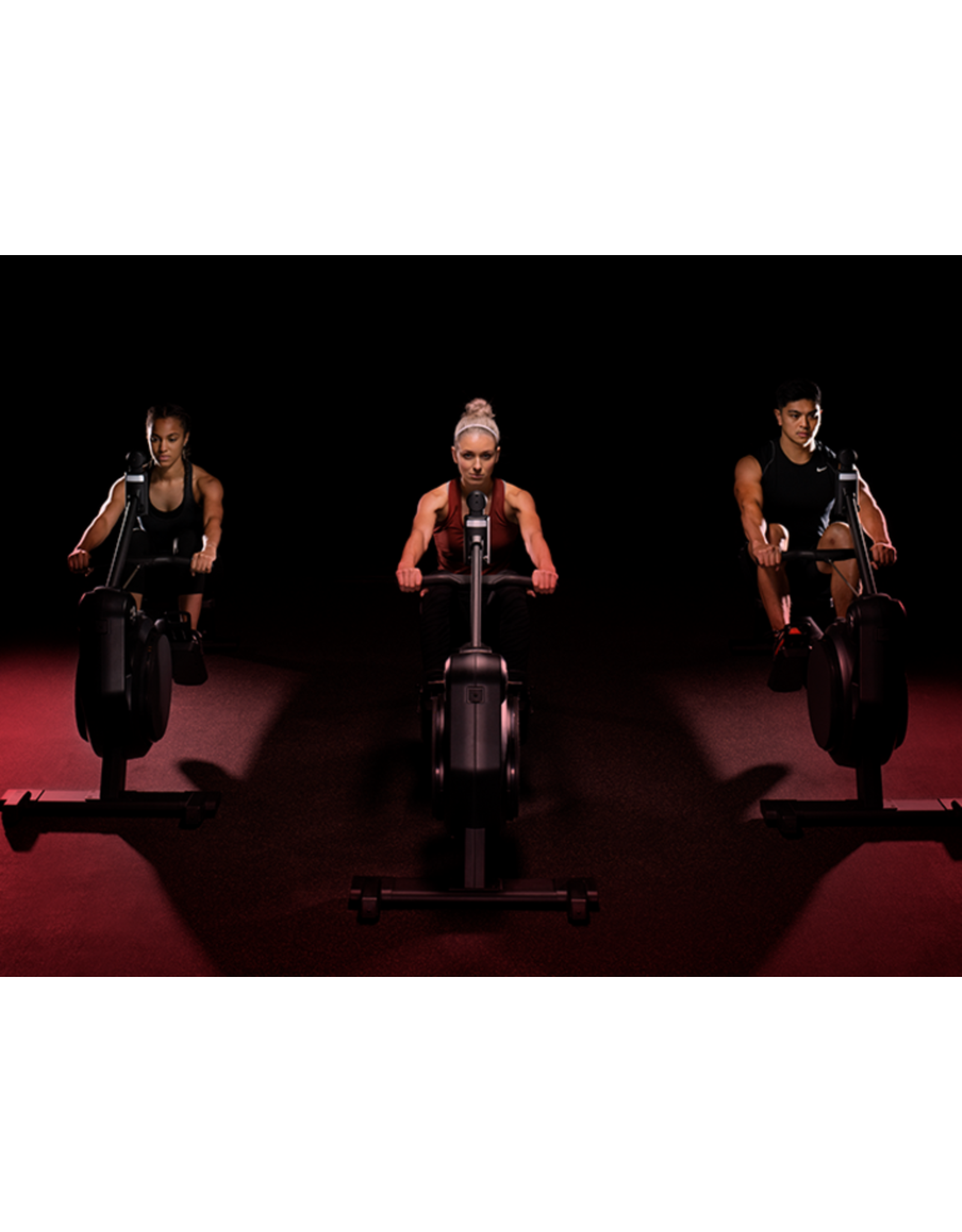 Life Fitness Life Fitness heat performance row