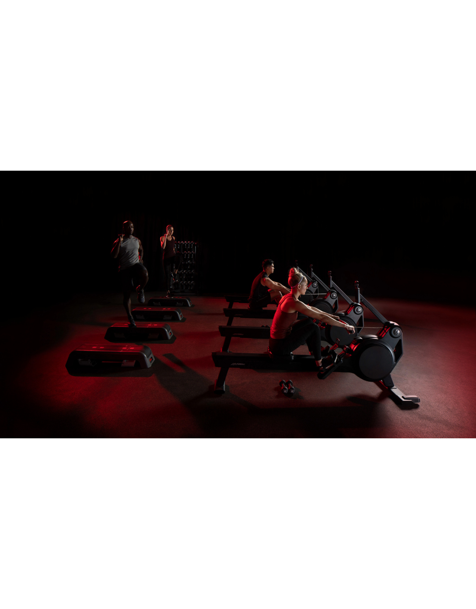 Life Fitness Life Fitness heat performance row