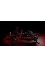 Life Fitness Life Fitness heat performance row