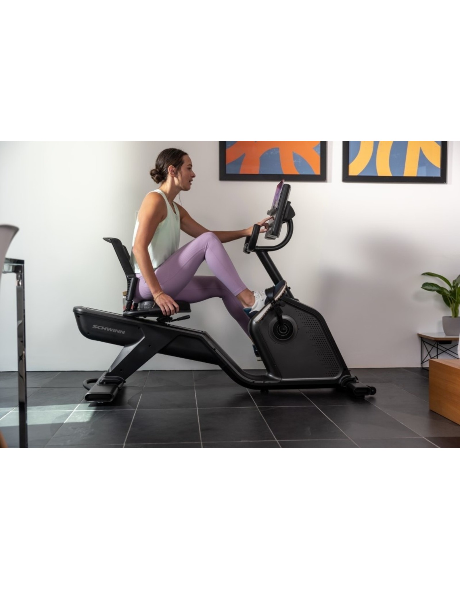 Schwinn Schwinn recumbent bike 590R