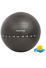 Tunturi Gymball Anti Burst 55 - 90 cm