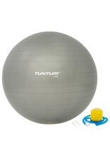 Tunturi Gymball Silver 55 - 90 cm