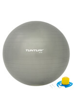 Tunturi Gymball Silver 55 - 90 cm