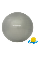 Tunturi Gymball Silver 55 - 90 cm