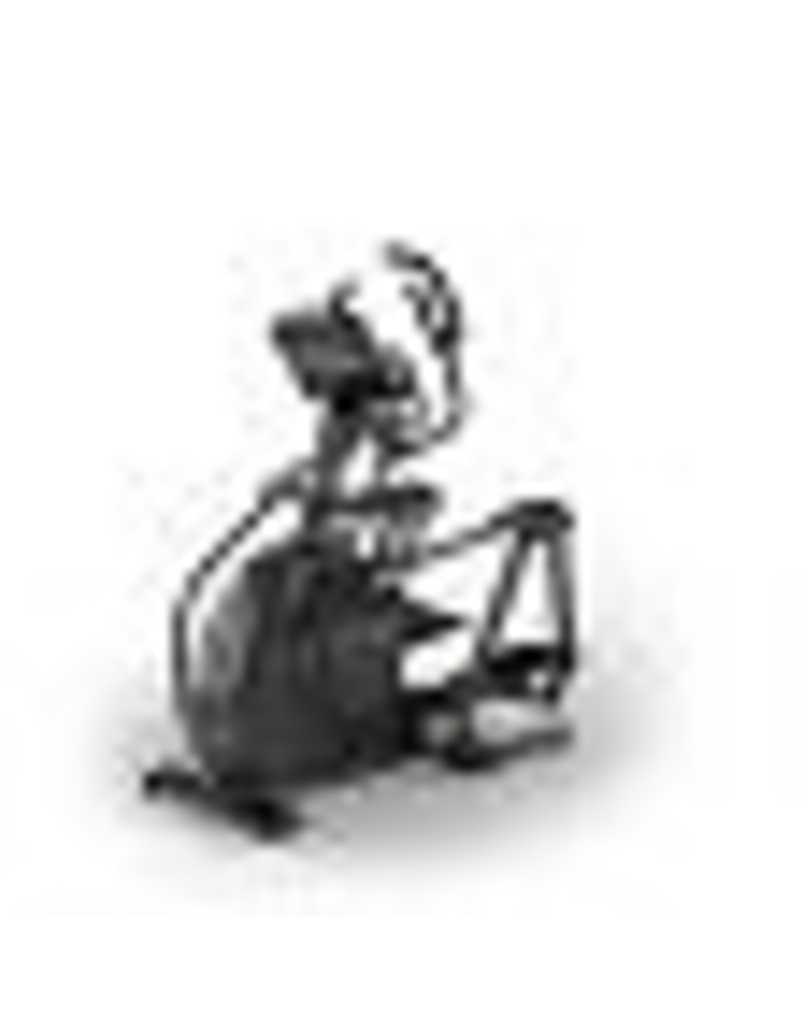 Matrix Fitness Matrix E50 XIR Crosstrainer