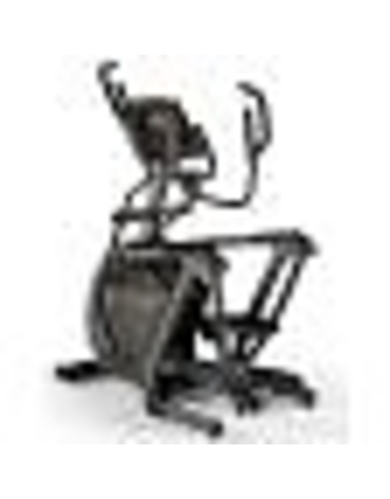 Matrix Fitness Matrix E50 XIR Crosstrainer