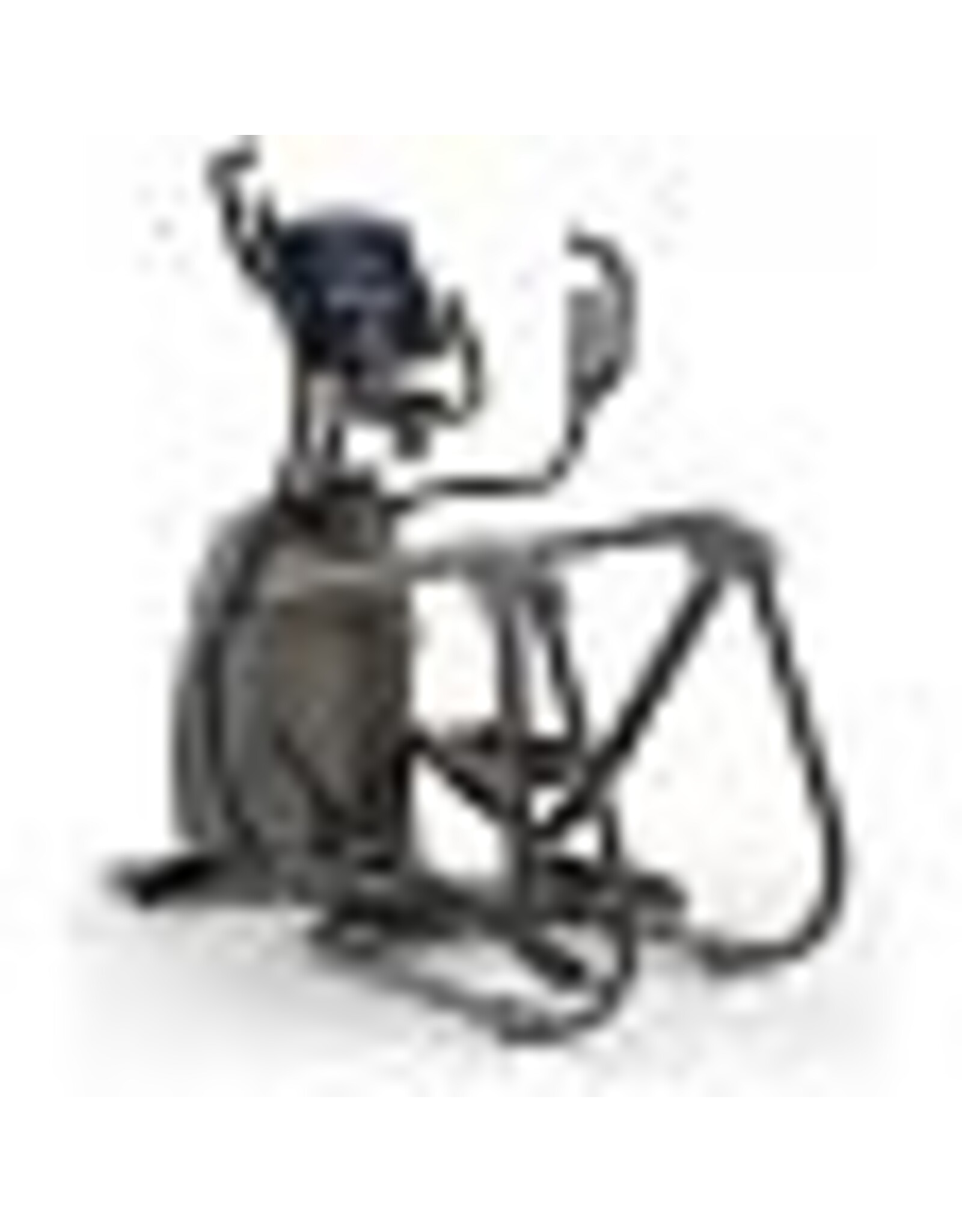 Matrix Fitness Matrix A50 Ascent - XR Crosstrainer
