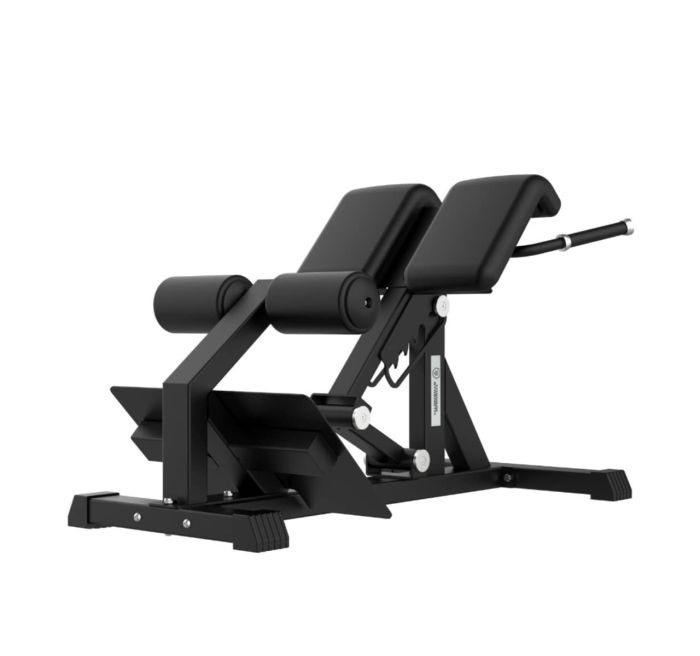 VEVOR multifunktionale Hyperextensionsbank Rückenstrecker