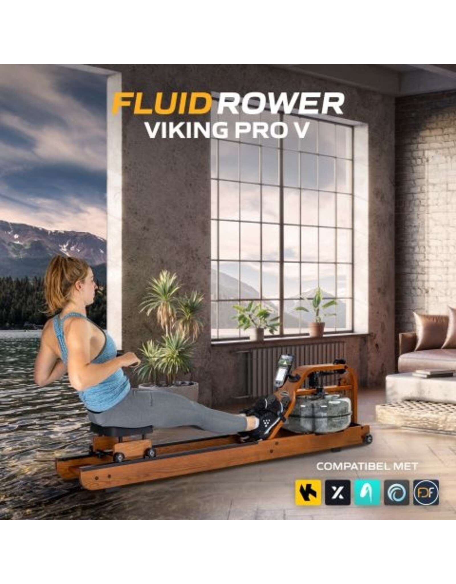 Fluid Rower Fluid Rower Viking Pro V + SPH