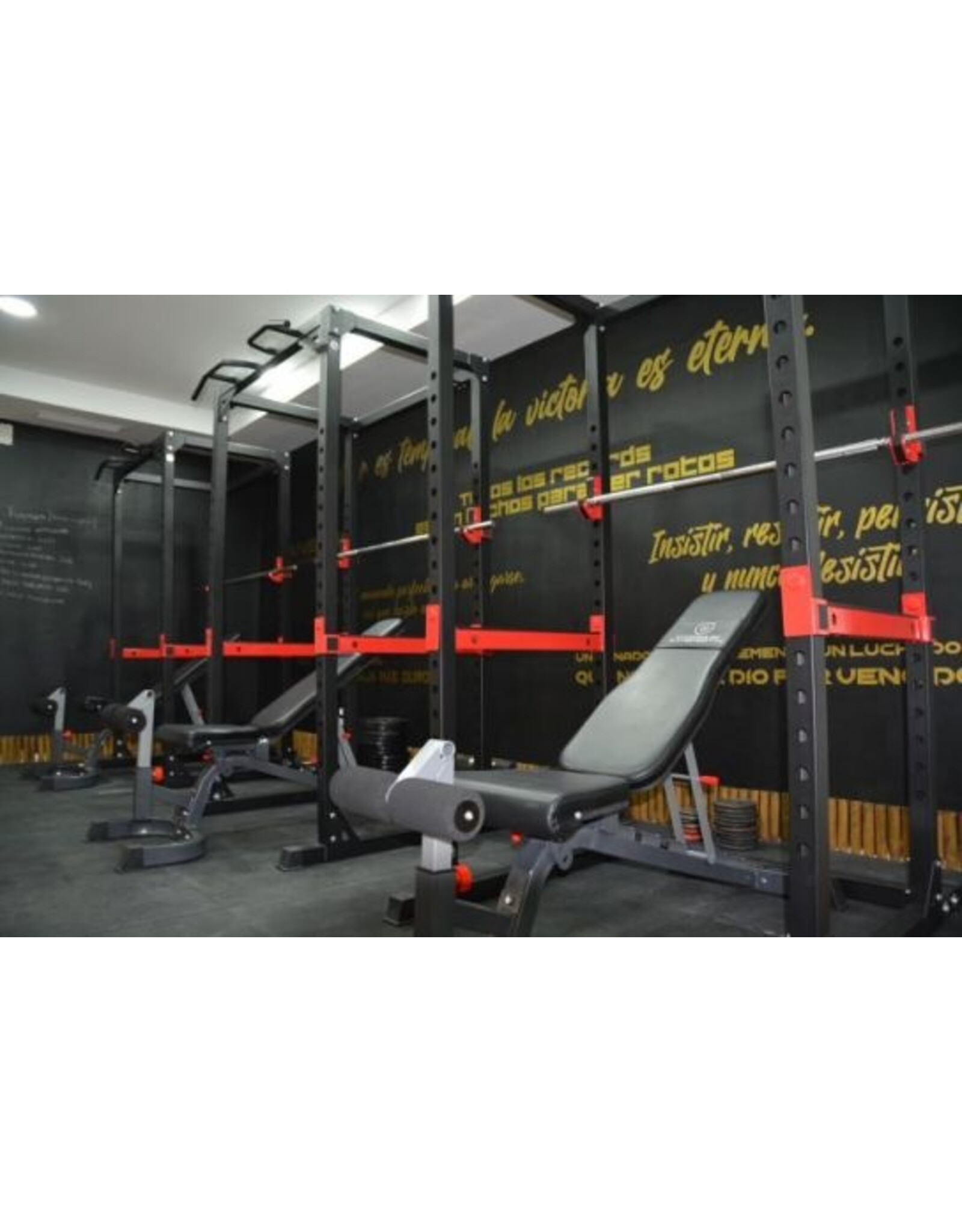 Titanium strenght Titanium Strength 330BM | Multifunctioneel | Verstelbare Halterbank