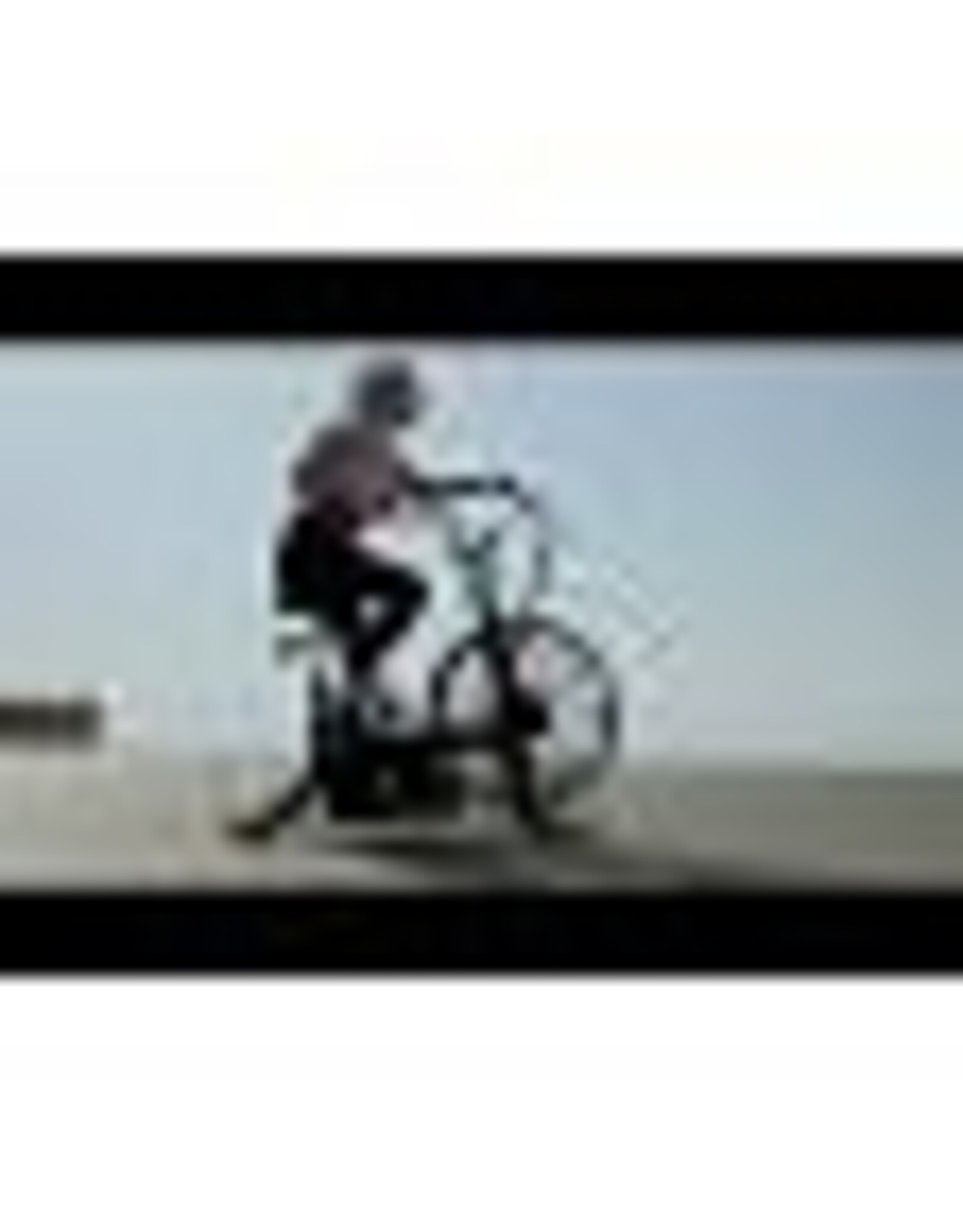 Titanium strenght Titanium Strength Air Bike Pro V3