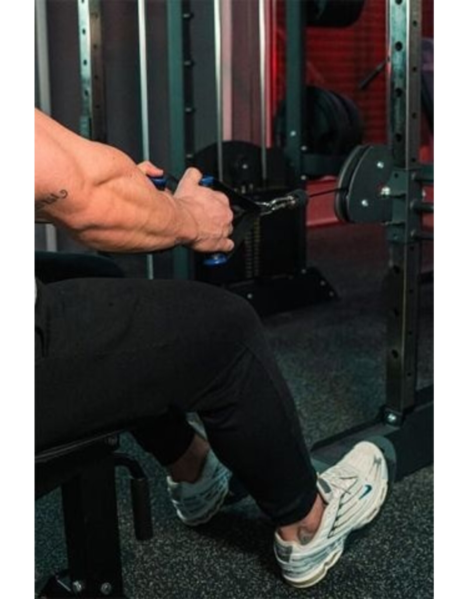 Titanium strenght Titanium Strength Black Series B200 V3 Smith-Machine | Multipower | Rack + Katrollen