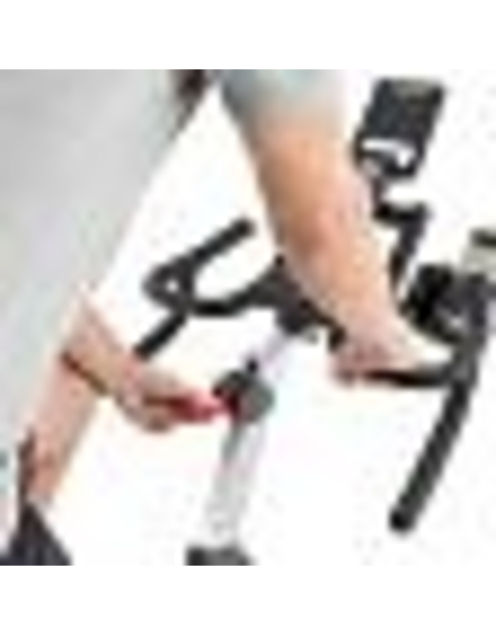 Platinum SB 20 Sprinter Bike