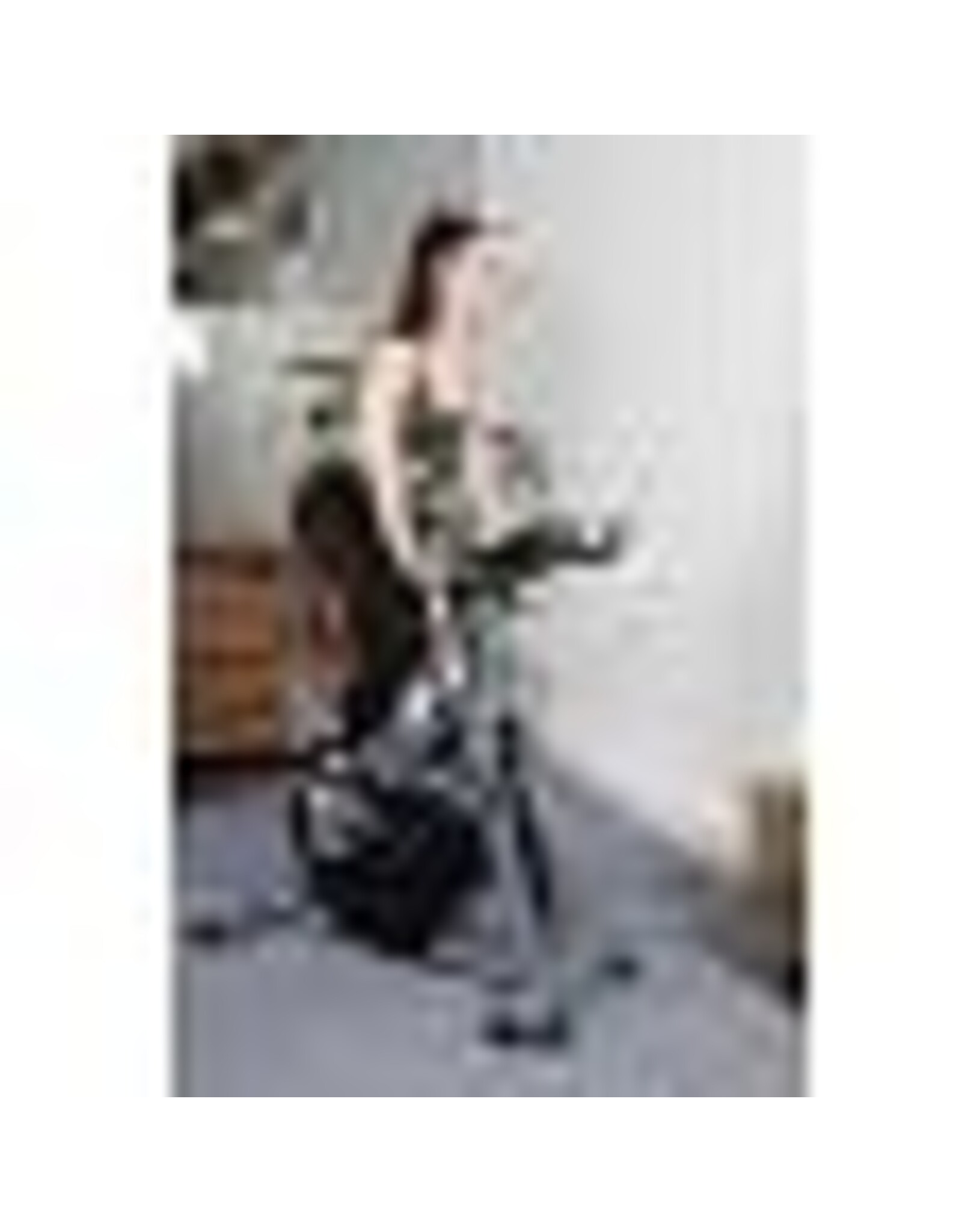 Flow Fitness Flow Fitness Racer DSB600i Speed bike