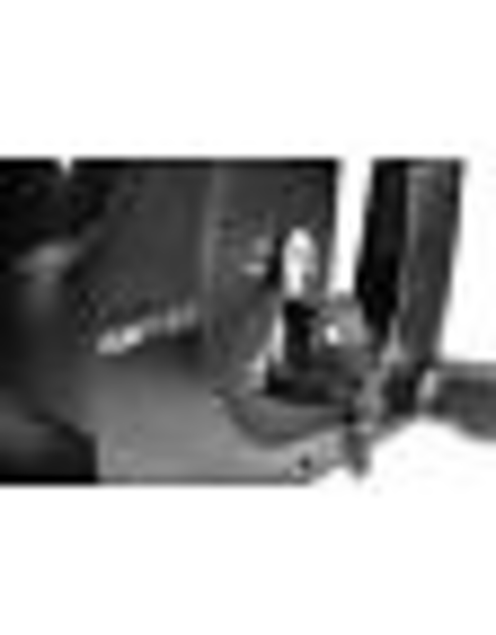 Flow Fitness Flow Fitness UB5i l Hometrainer