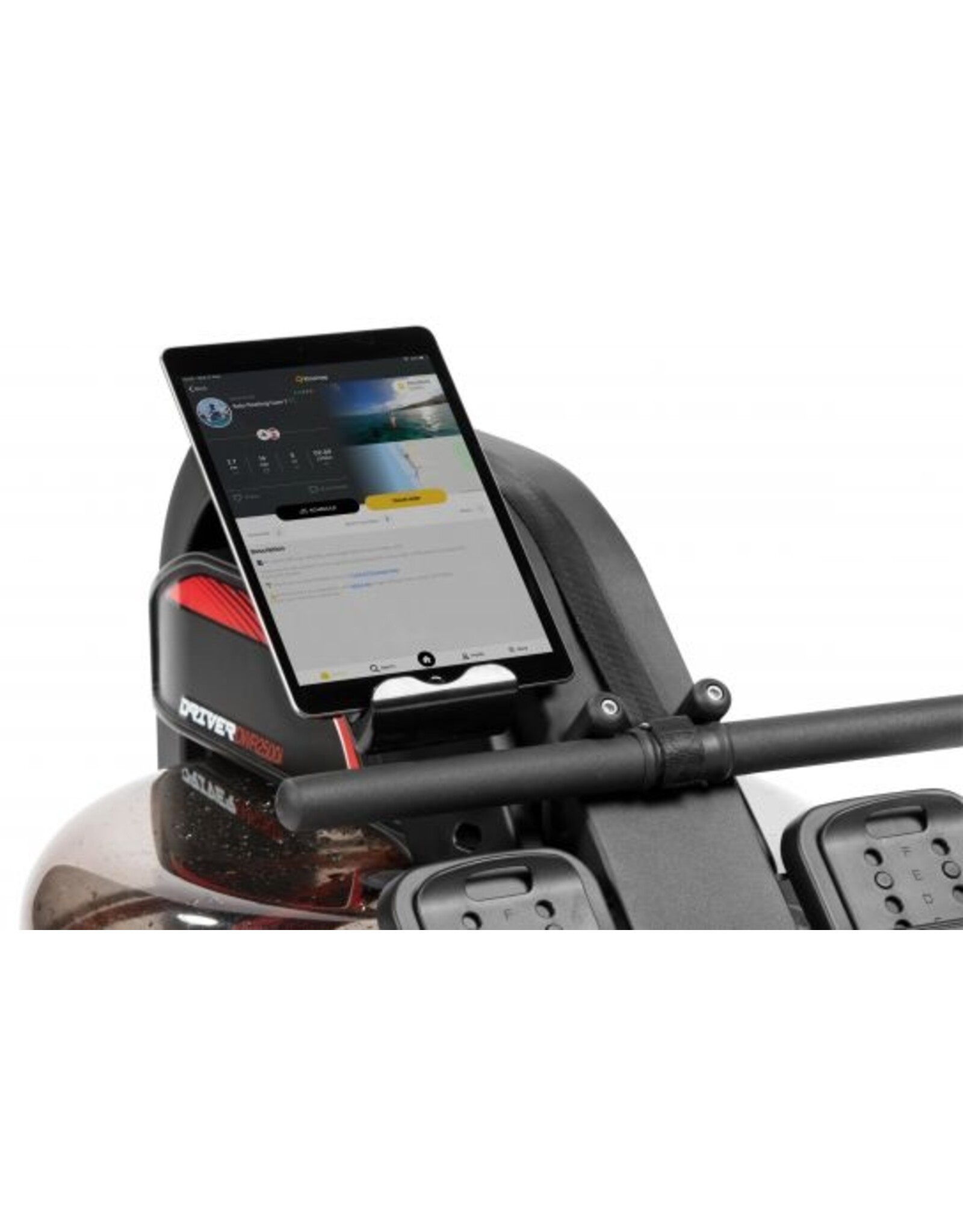 Flow Fitness Flow Fitness Driver DWR2500i Roeitrainer