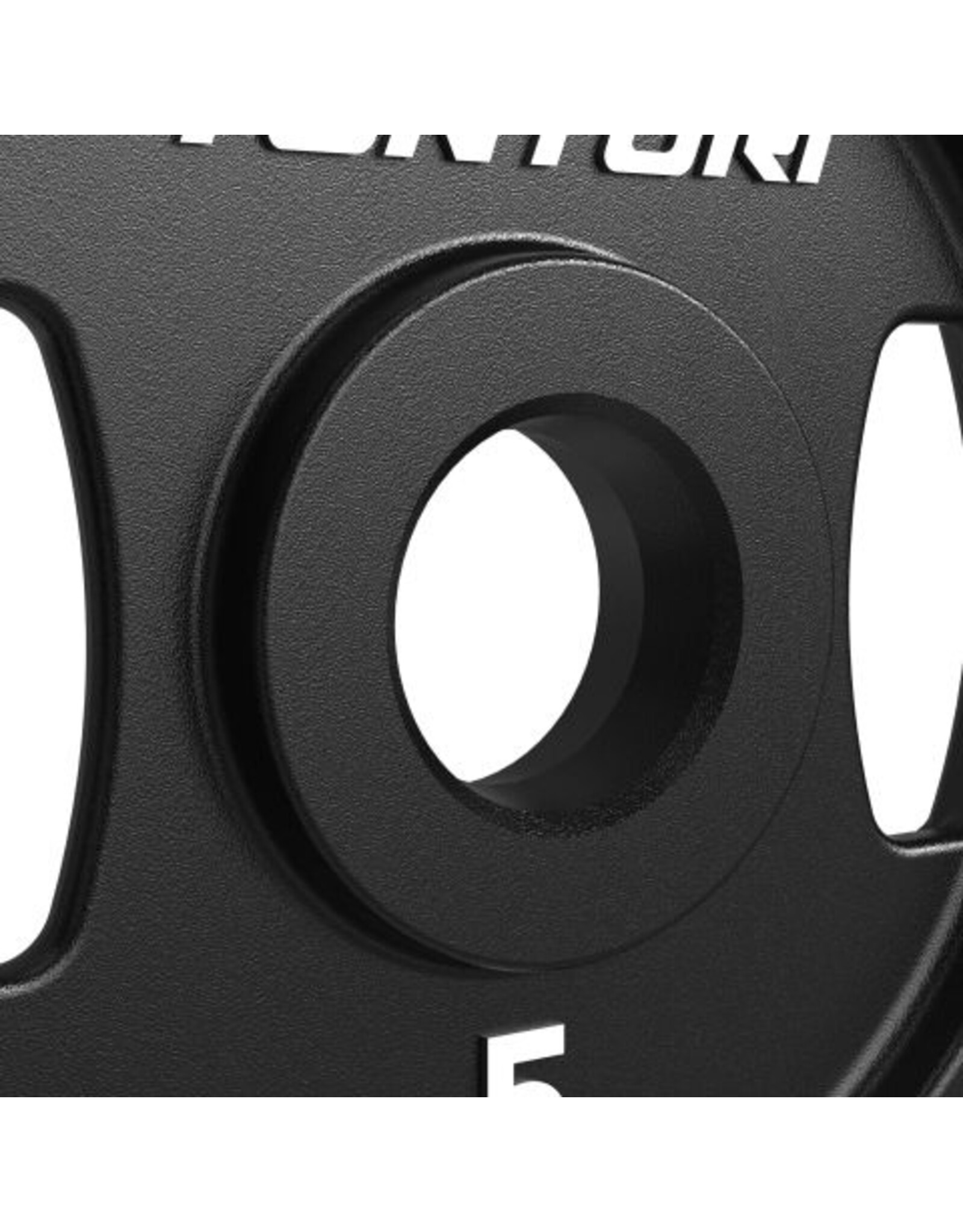 Tunturi Tunturi Platinum Cast Iron Plate - Bumnperplate - 5kg