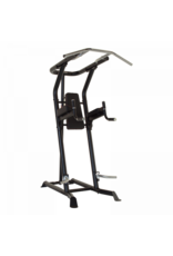 Inspire Inspire VKR - Vertical Knee Raise - Powertower