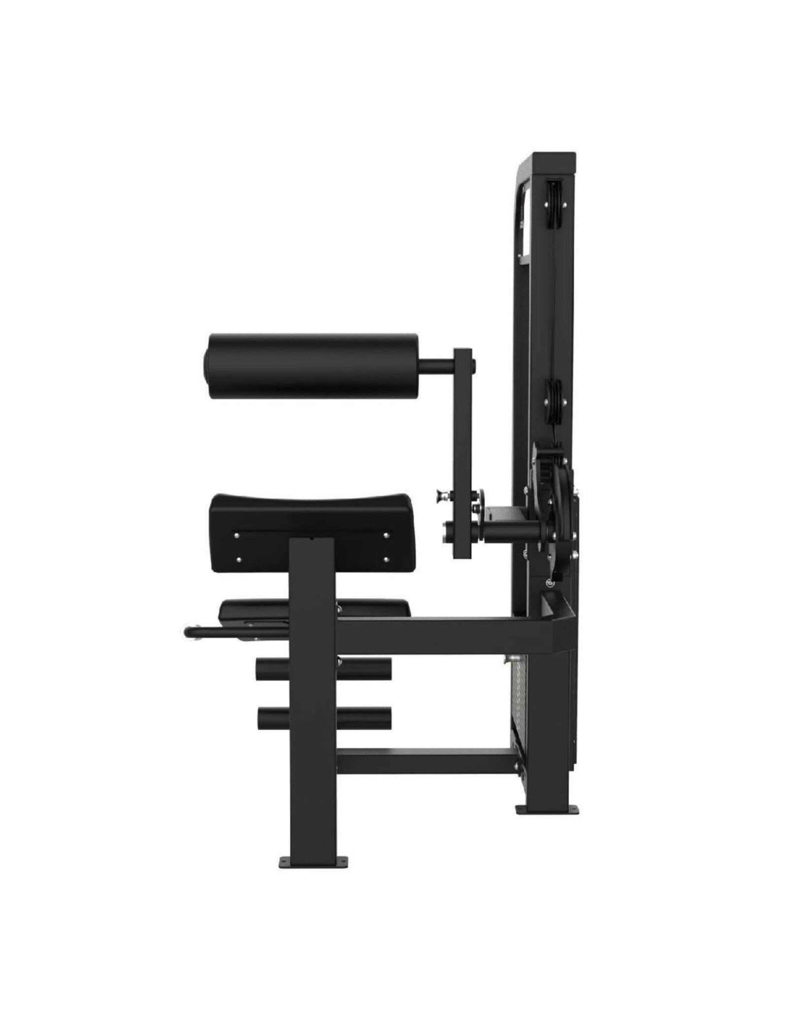 Titanium Strength Elite Series | Pin Loaded | Dual Abdominal and Back Extension