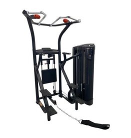 Inspire Inspire DUAL Station Chin Up - Commercial Rated