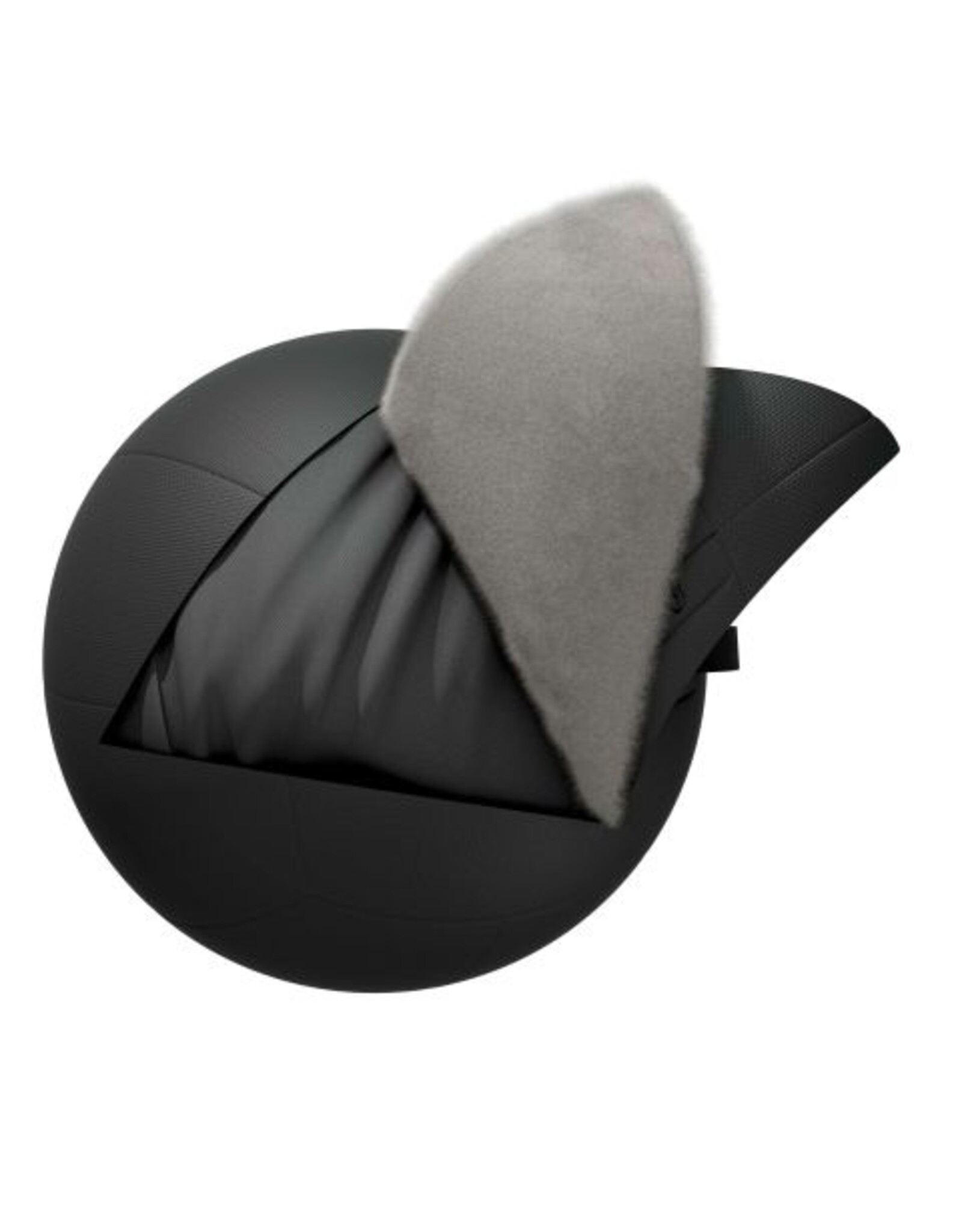 Tunturi Tunturi Platinum Wall Ball - 9kg - Zwart - Incl. gratis fitness app