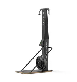 Centr Centr Perform Series Ski Machine With Platform