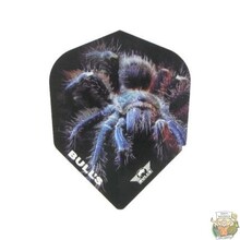 Animal 100 Tarantula No.6